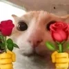😍