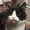 😝