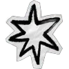 🌟