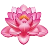 🌷