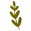🌿