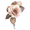 🌸