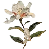 💐