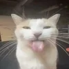 😋