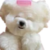 🐶
