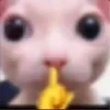 🤫