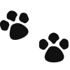 🐾