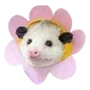 🌸