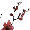 🎎