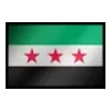 🇸🇾