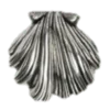 🐚