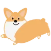 🐶