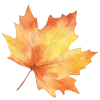 🍁