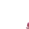 🪷