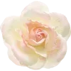 🌸