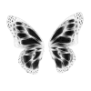 🦋