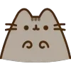 🐱