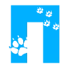 🐈‍⬛