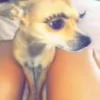 🤭