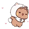 🐻