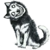 🐶