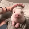 ☺️
