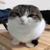 😳