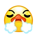 😤