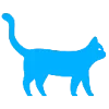 🐈‍⬛