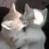 💗