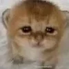 🥺