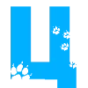 🐈‍⬛