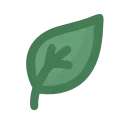 🌱