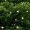 ⭐️