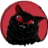 🐈‍⬛️