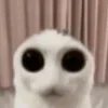 💀