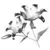 🌷