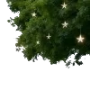 ⭐️