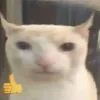 😺
