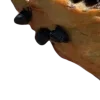 🥯
