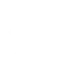 🚩