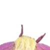 💖
