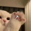 💍