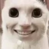 🙂