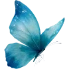 🦋