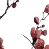 🎎