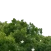⭐️