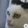 😶
