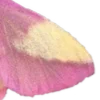 💖