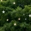 ⭐️